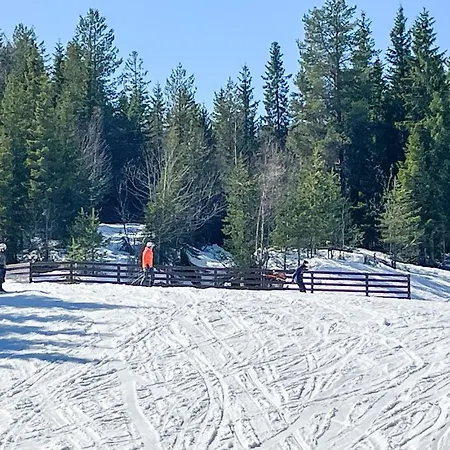 Beautiful In With Wifi